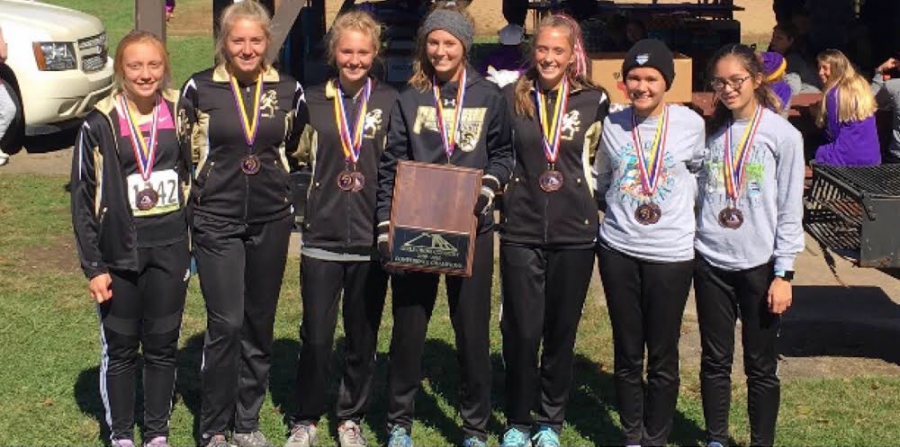 Girls Cross Country Qualify for Sectionals, AGAIN